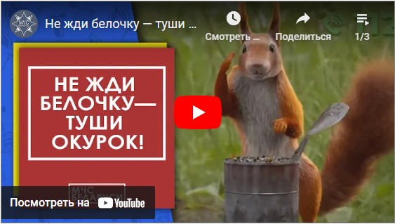 Смотреть